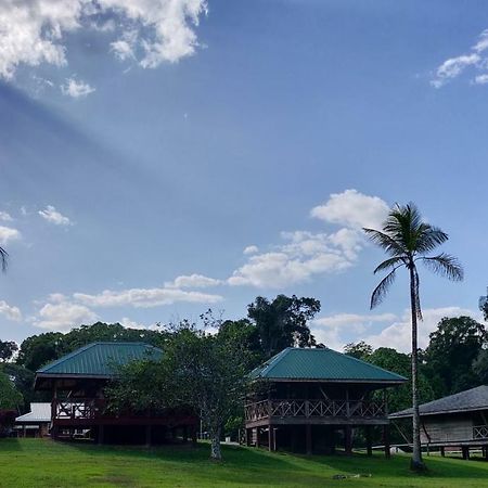 Iwokrama River Lodge Makari Bagian luar foto