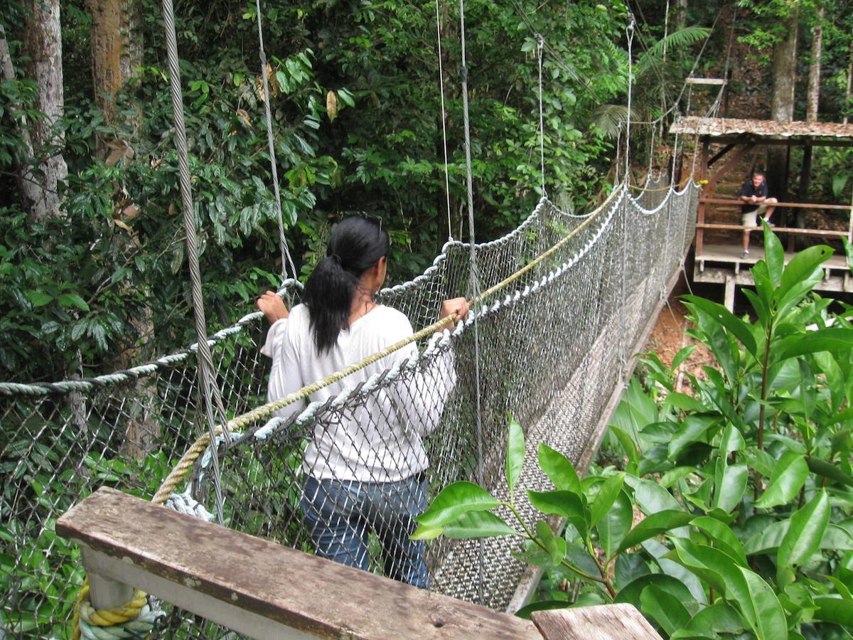 Iwokrama River Lodge Makari Bagian luar foto
