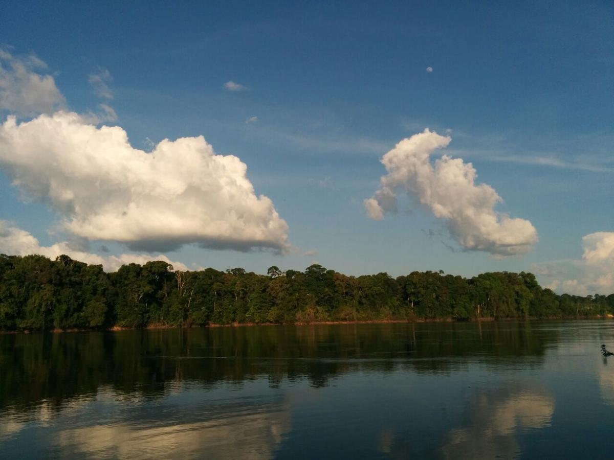 Iwokrama River Lodge Makari Bagian luar foto